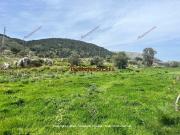 Terreno in vendita di 56000 m² in Corso Calatafimi, 1179
