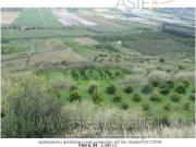 Terreno in vendita di 56300 m²