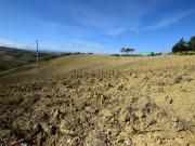 Terreno in vendita di 56349 m²