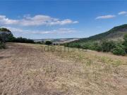 Terreno in vendita di 56889 m²