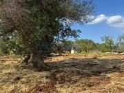 Terreno in vendita di 5697 m²