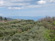 Terreno in vendita di 57000 m² in Via provinciale