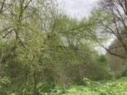 Terreno in vendita di 57470 m² in Via San Vito