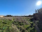 Terreno in vendita di 5755 m² in Traversa Bosco