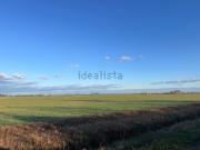 Terreno in vendita di 58000 m² in Via Riccardina Mezzolara