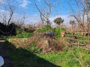 Terreno in vendita di 5805 m² in Via Francesco Sensale