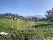 Terreno in vendita di 5835 m² in Contrada roccapalumba