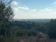 Terreno in vendita di 5903 m² in Contrada Agliastro