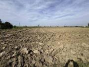 Terreno in vendita di 5923 m² in Via Aldo Moro