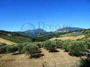 Terreno in vendita di 5970 m² in Via della Madonna