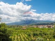 Terreno in vendita di 60000 m² in Via Pasteria, 19