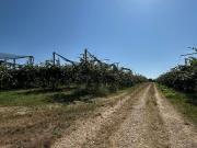 Terreno in vendita di 60000 m² in Contrada aquilano