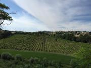 Terreno in vendita di 60000 m² in Strada Comunale...