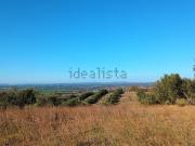 Terreno in vendita di 60000 m² in Strada Monterazzano