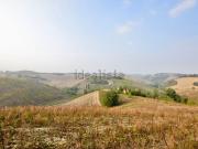 Terreno in vendita di 60000 m² in Via Rio Marzatore