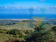 Terreno in vendita di 60000 m² in Via Tommaso Fazello, 228