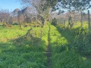 Terreno in vendita di 6000 m²