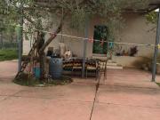 Terreno in vendita di 6000 m² in Contrada Dicchiara