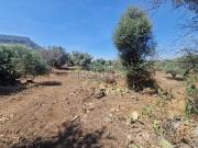 Terreno in vendita di 6000 m² in Strada Provinciale 14