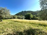 Terreno in vendita di 6000 m² in Via San Vito