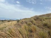 Terreno in vendita di 6000 m² in Via Torrente Colello Bocale