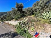Terreno in vendita di 6000 m² in Via Valle Vigna