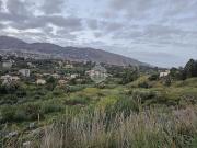 Terreno in vendita di 6000 m² in Via Vittorio Ziino