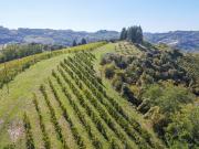 Terreno in vendita di 60349 m² in Via Madonna dell&apos...