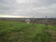 Terreno in vendita di 61000 m² in Via Madonna dell&apos...