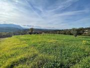 Terreno in vendita di 6100 m² in Contrada Castiglione