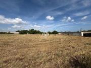 Terreno in vendita di 6102 m² in Contrada Torre Annibale, 1
