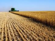 Terreno in vendita di 61100 m² in Via Ravegnana