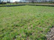 Terreno in vendita di 625 m² in Via Giovanni Pascoli