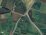 Terreno in vendita di 6280 m² in Via Rizzuto