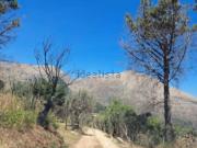 Terreno in vendita di 62845 m² in Via Montefiascone