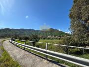 Terreno in vendita di 6300 m² in Località Costa