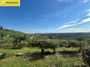 Terreno in vendita di 6318 m² in Via San Rocchetto