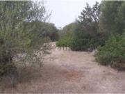 Terreno in vendita di 6 m² in Località Is Faddas