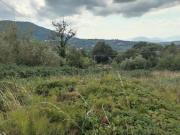 Terreno in vendita di 6410 m² in Località Saudoni