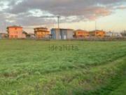 Terreno in vendita di 6479 m² in Strada Arginotto