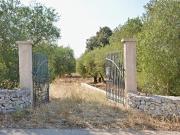 Terreno in vendita di 6481 m² in Strada Comunale Foggia...