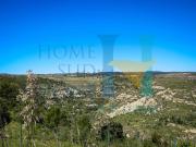 Terreno in vendita di 65000 m² in Via Tommaso Fazello, 228