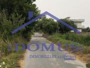 Terreno in vendita di 6500 m²