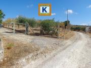 Terreno in vendita di 6500 m²