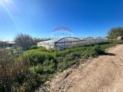 Terreno in vendita di 6520 m² in Strada Senza Nome