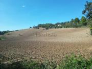 Terreno in vendita di 65500 m² in Località Carignano