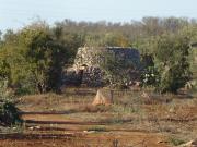 Terreno in vendita di 6600 m² in Strada provinciale per...