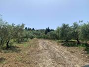 Terreno in vendita di 6839 m² in Contrada Feotto