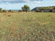 Terreno in vendita di 6900 m²