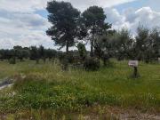 Terreno in vendita di 6968 m² in Via P. Lonoce